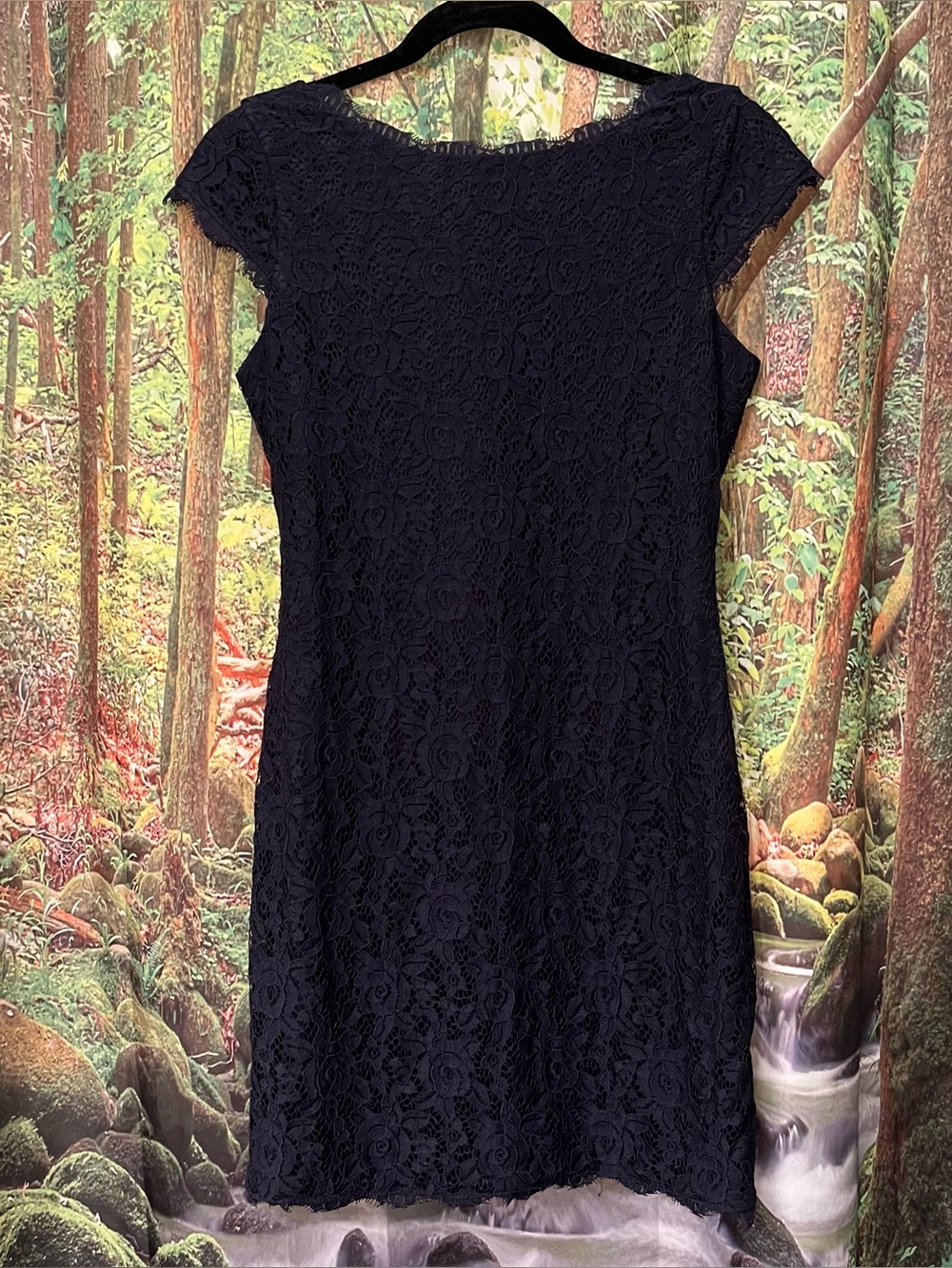 Eliza J Navy Lace Sheath Dress Dressy Formal XS petite cocktail